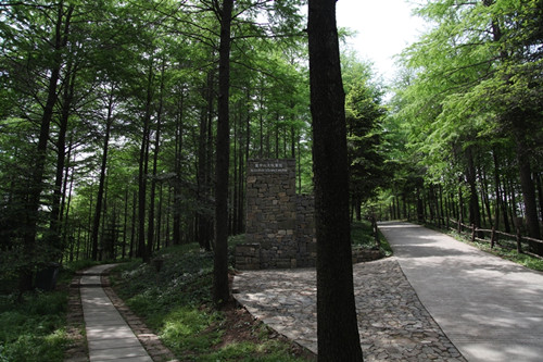 大坑森林公园2.jpg