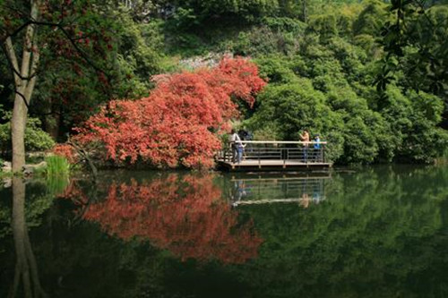 银铃池.jpg