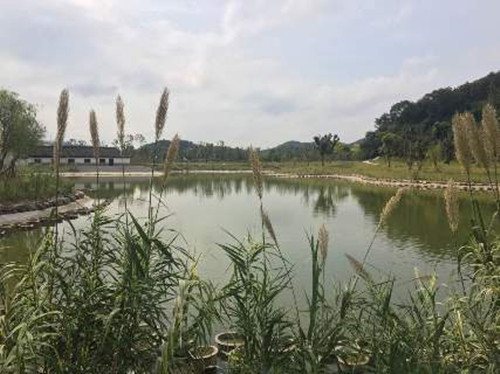 IMG_5138_副本.jpg