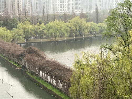 QQ图片20170328123433.jpg